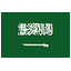 Saudi Arabia Domains