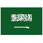 Saudi Arabia Domains Saudi Arabia Domains